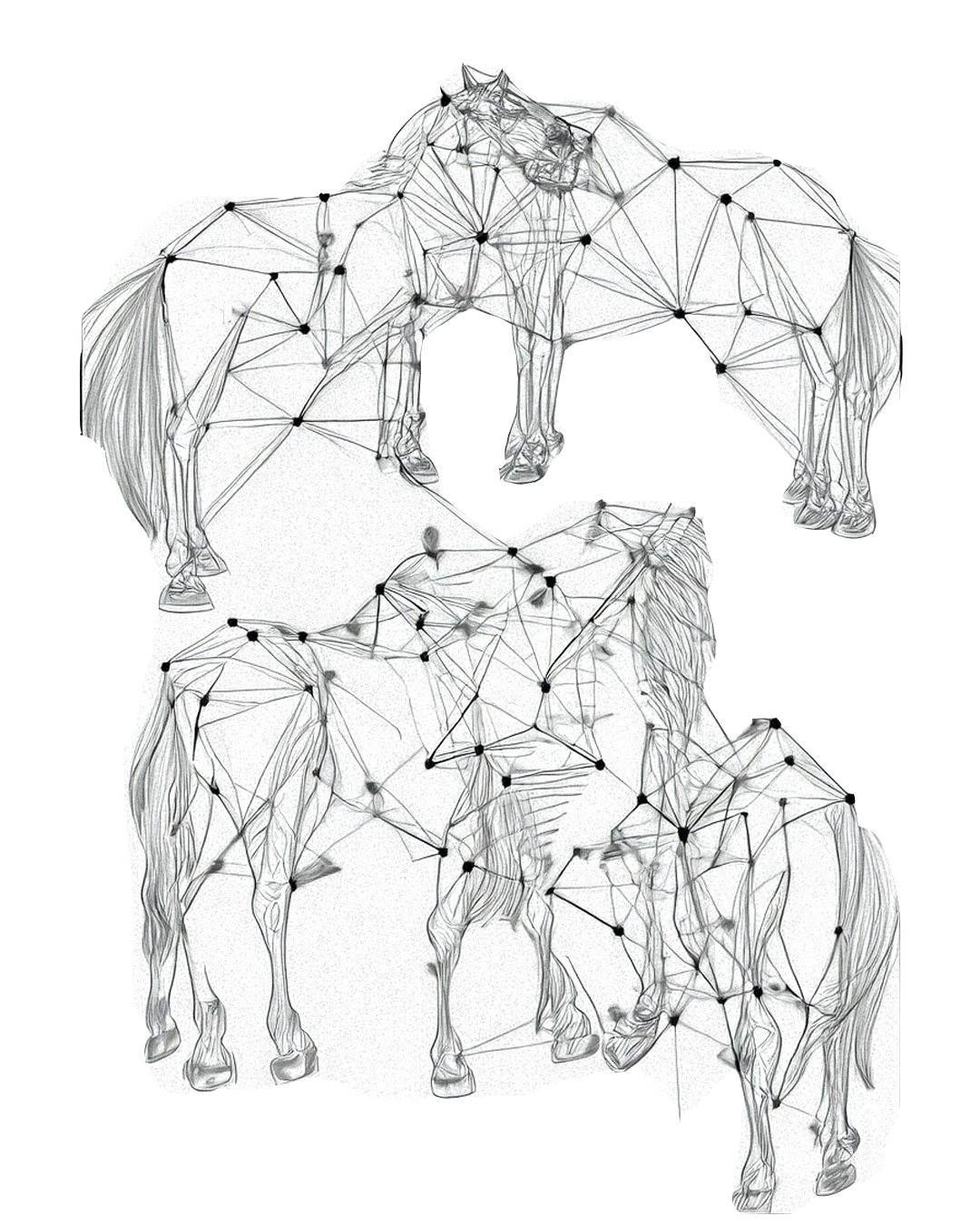 horse drawing
