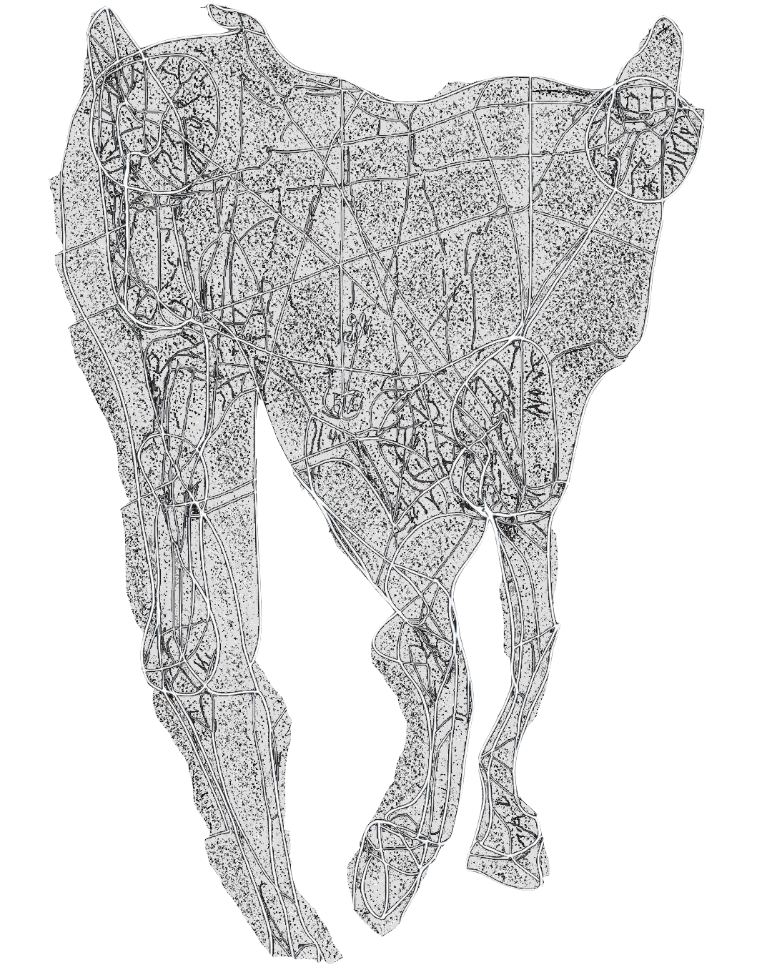 horse drawing