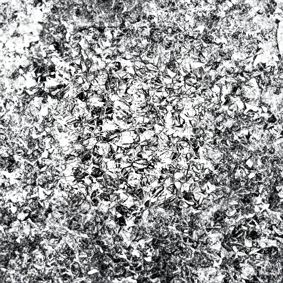 we don't know yet texture image from 2025